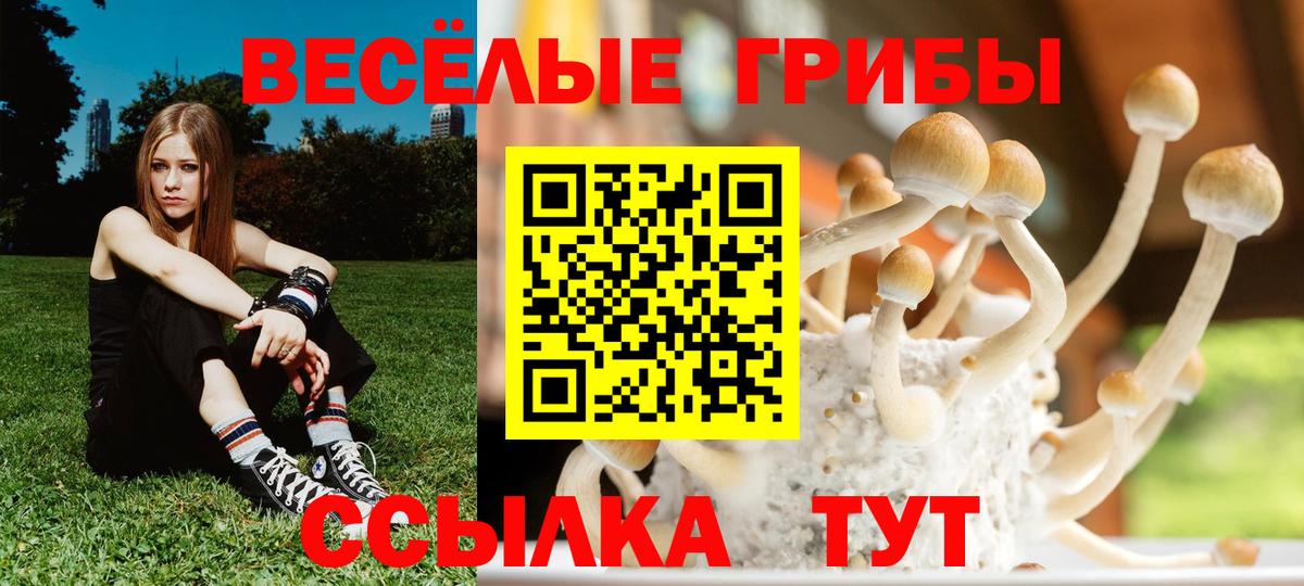 Симферополь  Псилоцибиновые грибы Psilocybine cubensis  Вход с VPN  Галлюциногенные грибы Magic Shrooms 