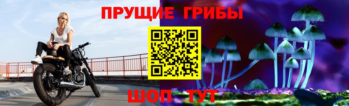 Псилоцибиновые грибы прущие грибы Симферополь